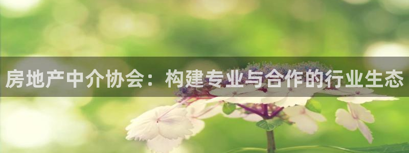 新宝5日740005蔻：房地产中介协会：构建专业与合作的行业