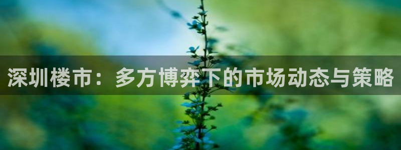新宝5官网67五壹叁八：深圳楼市：多方博弈下的市场动态与策略