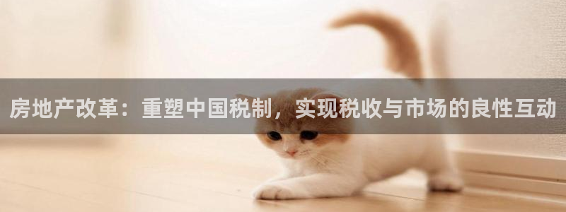 新宝那2O5O5O