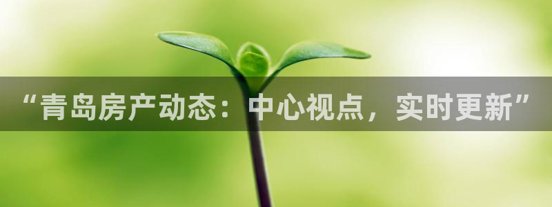 新宝5-：“青岛房产动态：中心视点，实时更新”