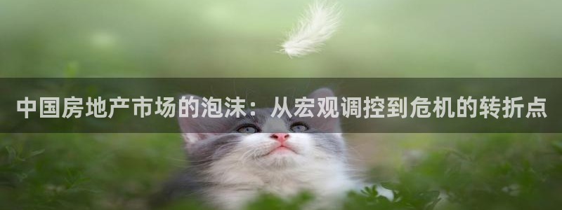 新宝5登录：中国房地产市场的泡沫：从宏观调控到危机的转折点