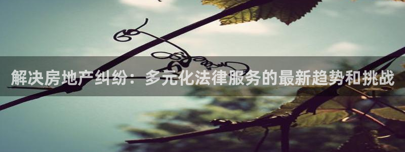 新宝5娱乐注册：解决房地产纠纷：多元化法律服务的最新趋势和挑
