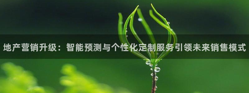 新宝5娱乐手机登录：地产营销升级：智能预测与个性化定制服务引