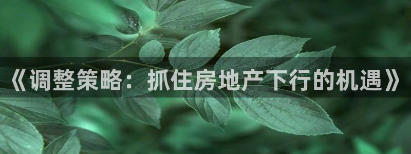 新宝5登录网址：《调整策略：抓住房地产下行的机遇》