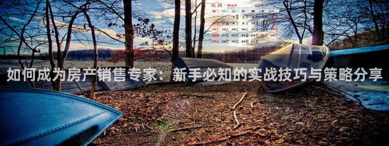 新宝5源码