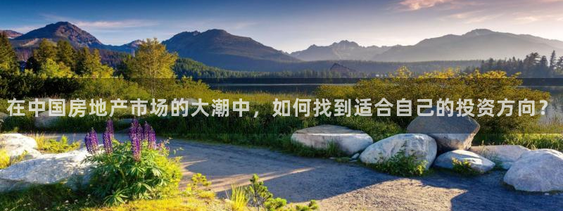 新宝5_测：在中国房地产市场的大潮中，如何找到适合自己的投资
