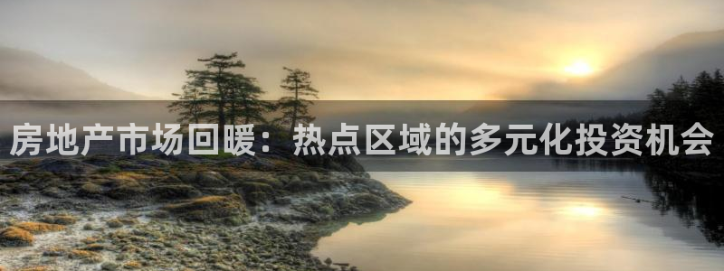 新宝5什么时候上市：房地产市场回暖：热点区域的多元化投资机会