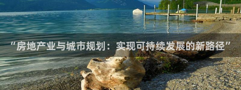 新宝5登录不了：“房地产业与城市规划：实现可持续发展的新路径