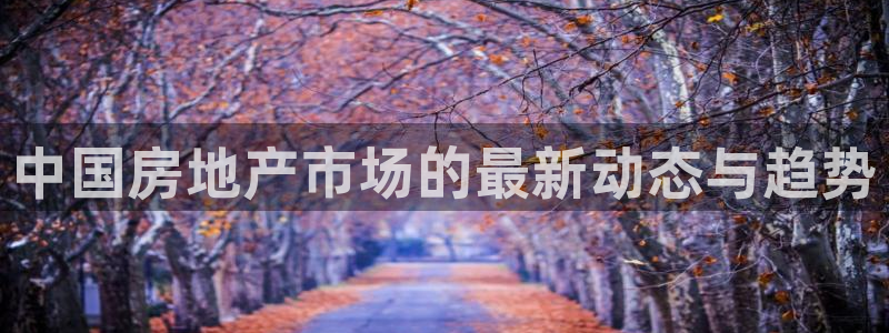 新宝5直属：中国房地产市场的最新动态与趋势