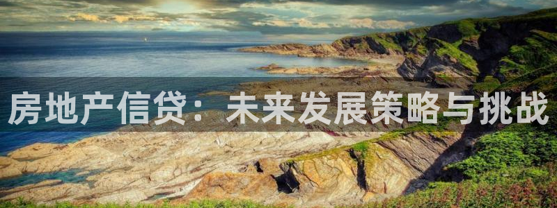 新宝5户端：房地产信贷：未来发展策略与挑战