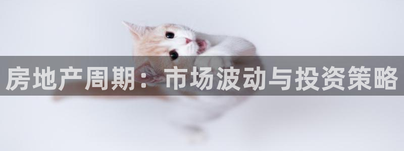 新宝5登录霸：房地产周期：市场波动与投资策略