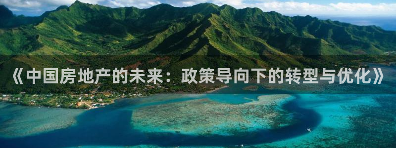 新宝5吕74OOO5：《中国房地产的未来：政策导向下的转型与