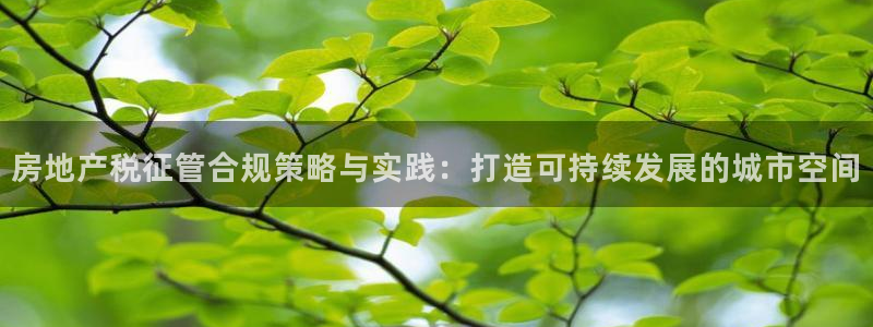 新宝5褚74OOO5：房地产税征管合规策略与实践：打造可持续