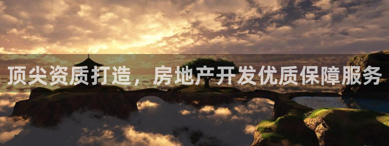 菲律宾新宝5老板：顶尖资质打造，房地产开发优质保障服务