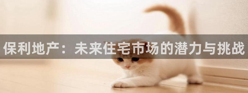 新宝_5：保利地产：未来住宅市场的潜力与挑战