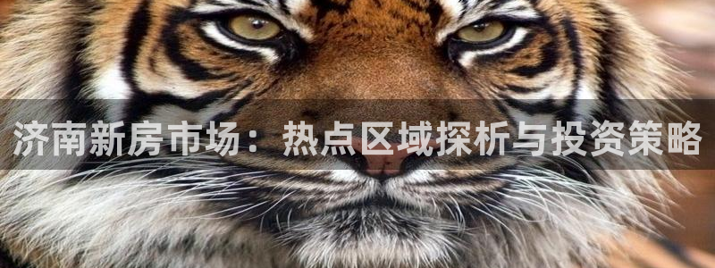 新宝5现在还能玩吗：济南新房市场：热点区域探析与投资策略
