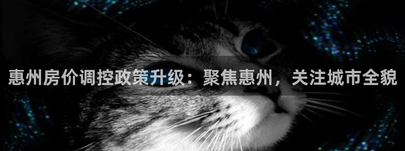 新宝5登录：惠州房价调控政策升级：聚焦惠州，关注城市全貌