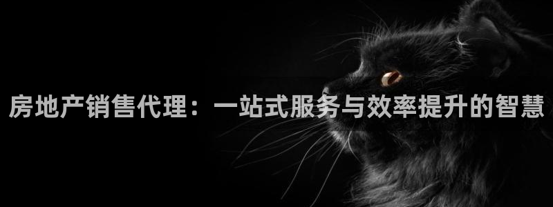 新宝5彩票娱乐平台：房地产销售代理：一站式服务与效率提升的智