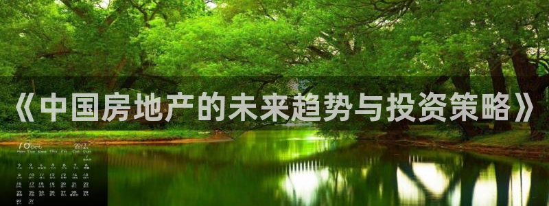 新宝5总代：《中国房地产的未来趋势与投资策略》