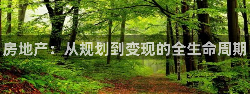 新宝m2O5O5O：房地产：从规划到变现的全生命周期