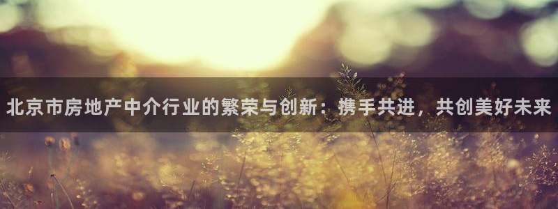 新宝5娱乐然：北京市房地产中介行业的繁荣与创新：携手共进，共