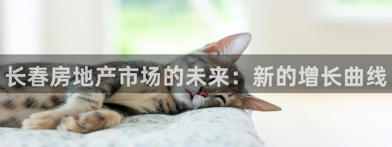 新宝5月：长春房地产市场的未来：新的增长曲线