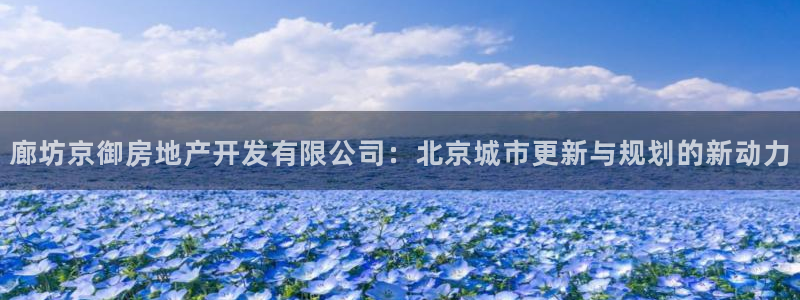 新宝5官网平台：廊坊京御房地产开发有限公司：北京城市更新与规
