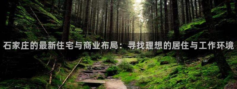 新宝股东王听2 5 5：石家庄的最新住宅与商业布局：寻找理想