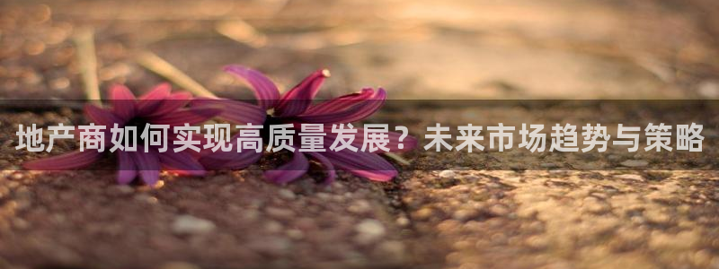 新宝5官网：地产商如何实现高质量发展？未来市场趋势与策略