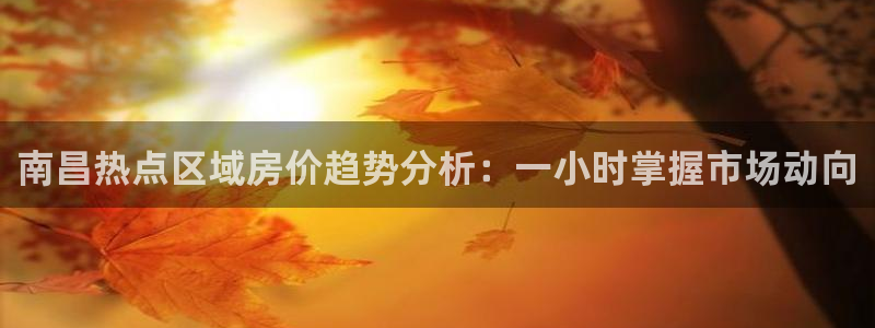 新宝5电脑登录网址：南昌热点区域房价趋势分析：一小时掌握市场