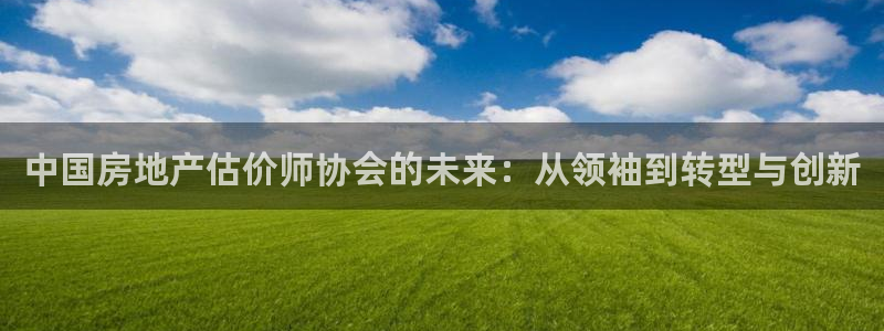 新宝5下载 迅雷下载：中国房地产估价师协会的未来：从领袖到转