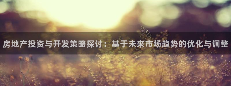 新宝5彩票平台登陆：房地产投资与开发策略探讨：基于未来市场趋