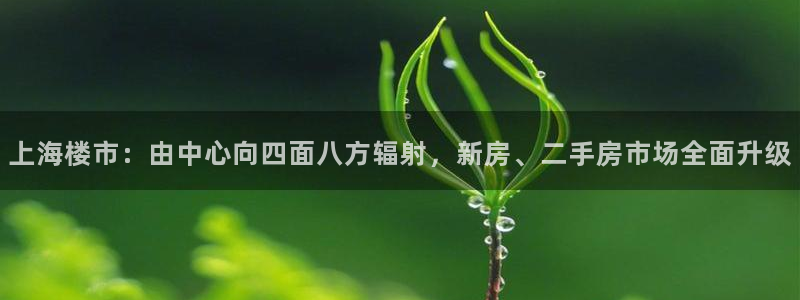 新宝5娱乐注：上海楼市：由中心向四面八方辐射，新房、二手房市