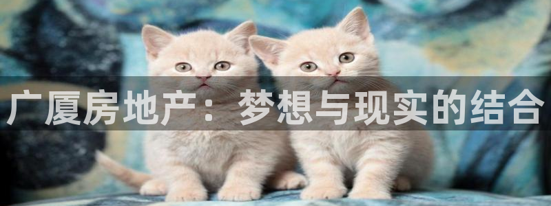 新宝5登录网址：广厦房地产：梦想与现实的结合