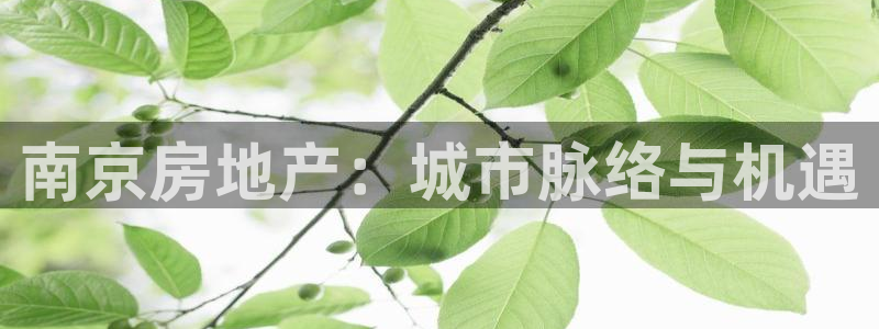 新宝5是什么样子的：南京房地产：城市脉络与机遇