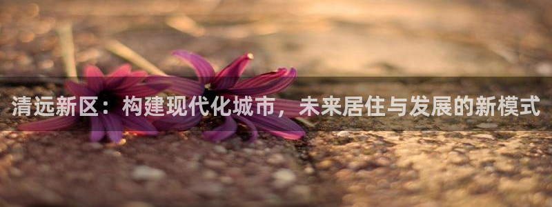 新宝5测速登录：清远新区：构建现代化城市，未来居住与发展的新