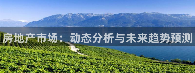 新宝5蒋74OOO5：房地产市场：动态分析与未来趋势预测