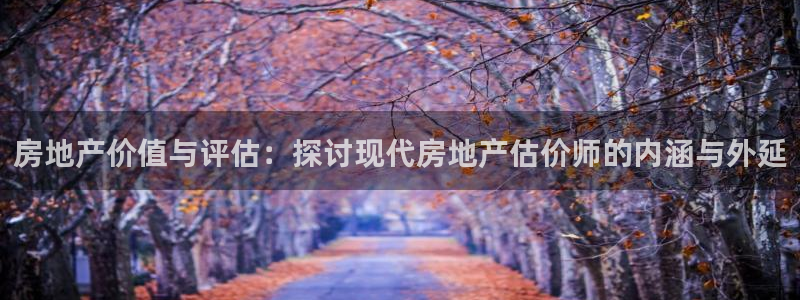 新宝5王问74OOO5：房地产价值与评估：探讨现代房地产估价