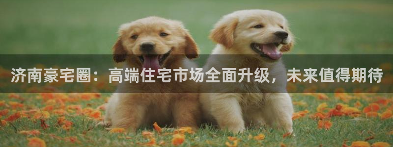 下载新宝5：济南豪宅圈：高端住宅市场全面升级，未来值得期待