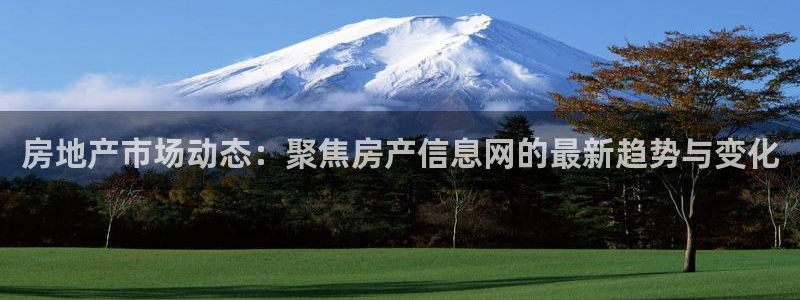 新宝5测登录：房地产市场动态：聚焦房产信息网的最新趋势与变化