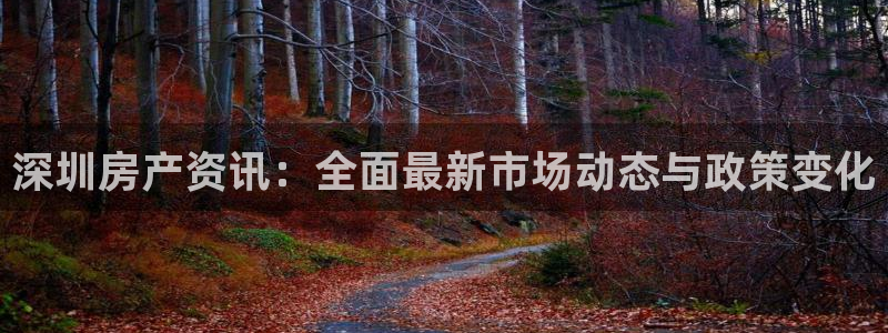 新宝5账号注册：深圳房产资讯：全面最新市场动态与政策变化