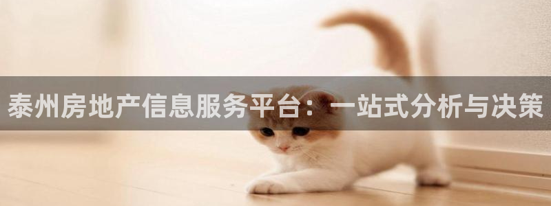 新宝5是谁：泰州房地产信息服务平台：一站式分析与决策