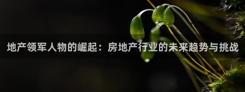 新宝5是谁的：地产领军人物的崛起：房地产行业的未来趋势与挑战