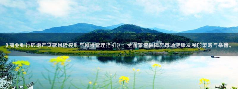 新宝5日740005蔻：《商业银行房地产贷款风险控制与风险管