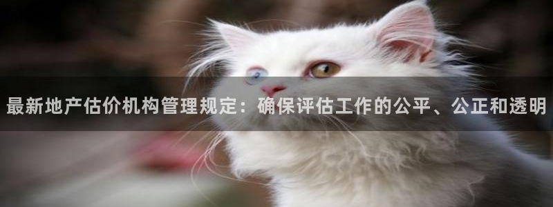 新5宝：最新地产估价机构管理规定：确保评估工作的公平、公正和