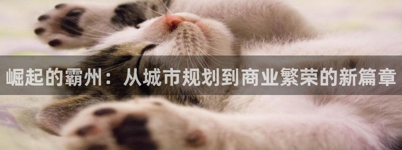 新宝5玩法：崛起的霸州：从城市规划到商业繁荣的新篇章