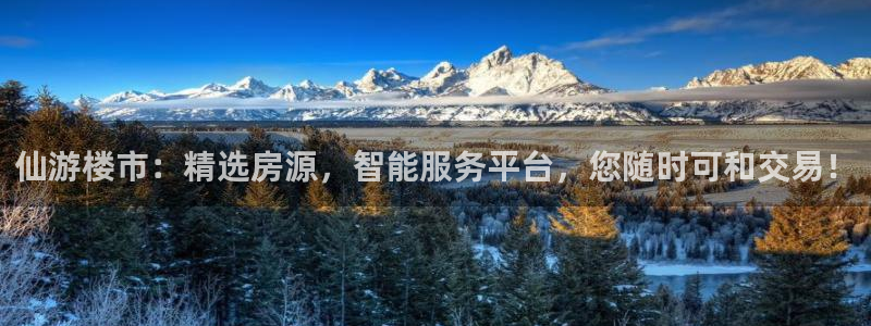 新宝5官网67五壹叁八：仙游楼市：精选房源，智能服务平台，您