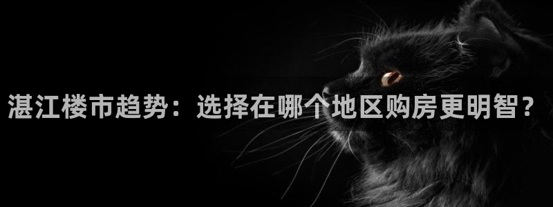 新宝5软件下载：湛江楼市趋势：选择在哪个地区购房更明智？