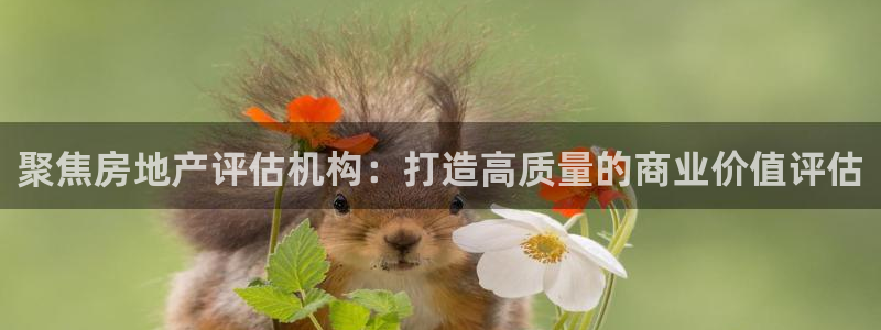 新宝5下载注册：聚焦房地产评估机构：打造高质量的商业价值评估