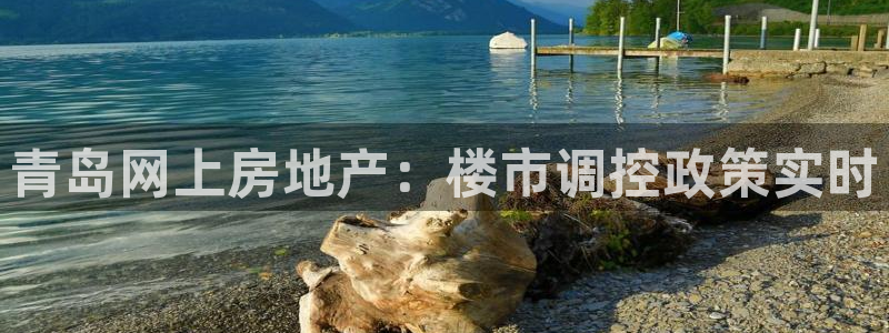 新5宝：青岛网上房地产：楼市调控政策实时